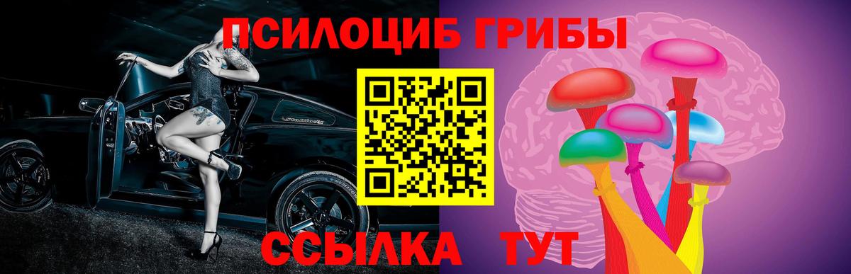 Галлюциногенные грибы Cubensis Сатка